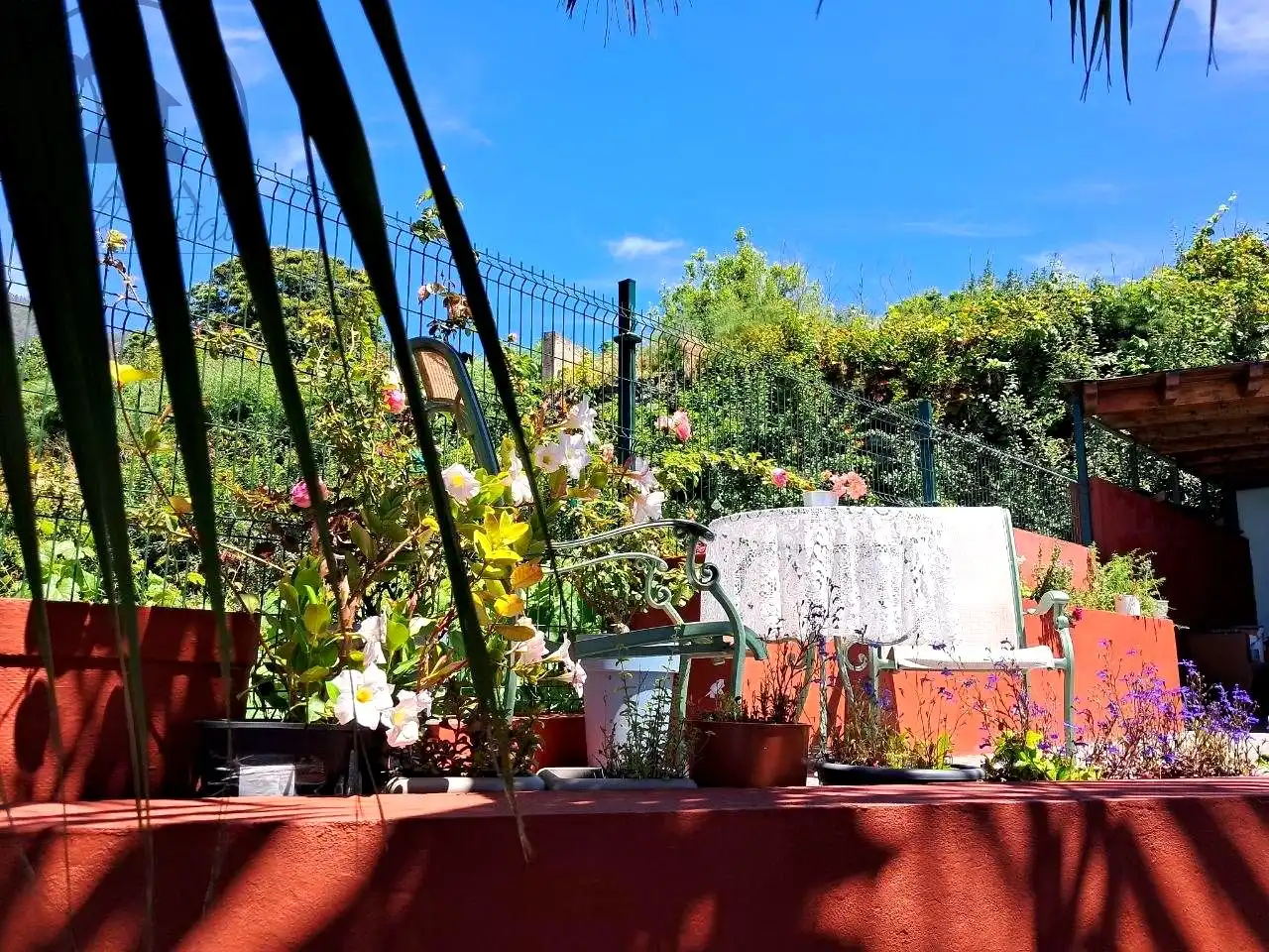 Country homes for sale in Centro