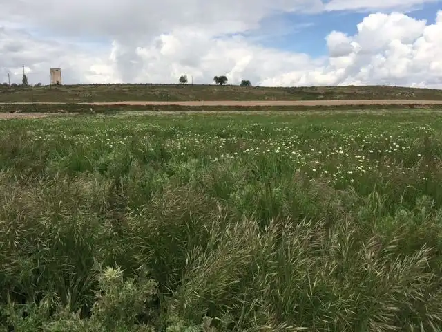 Terreno rústico en venta en Morata de Tajuña