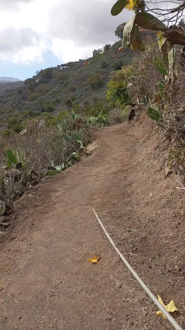Vista exterior de Finca rústica en venda en Santa Brígida
