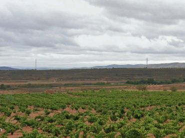 Terreno rustico in vendita a Calle Barrio Nuevo 2