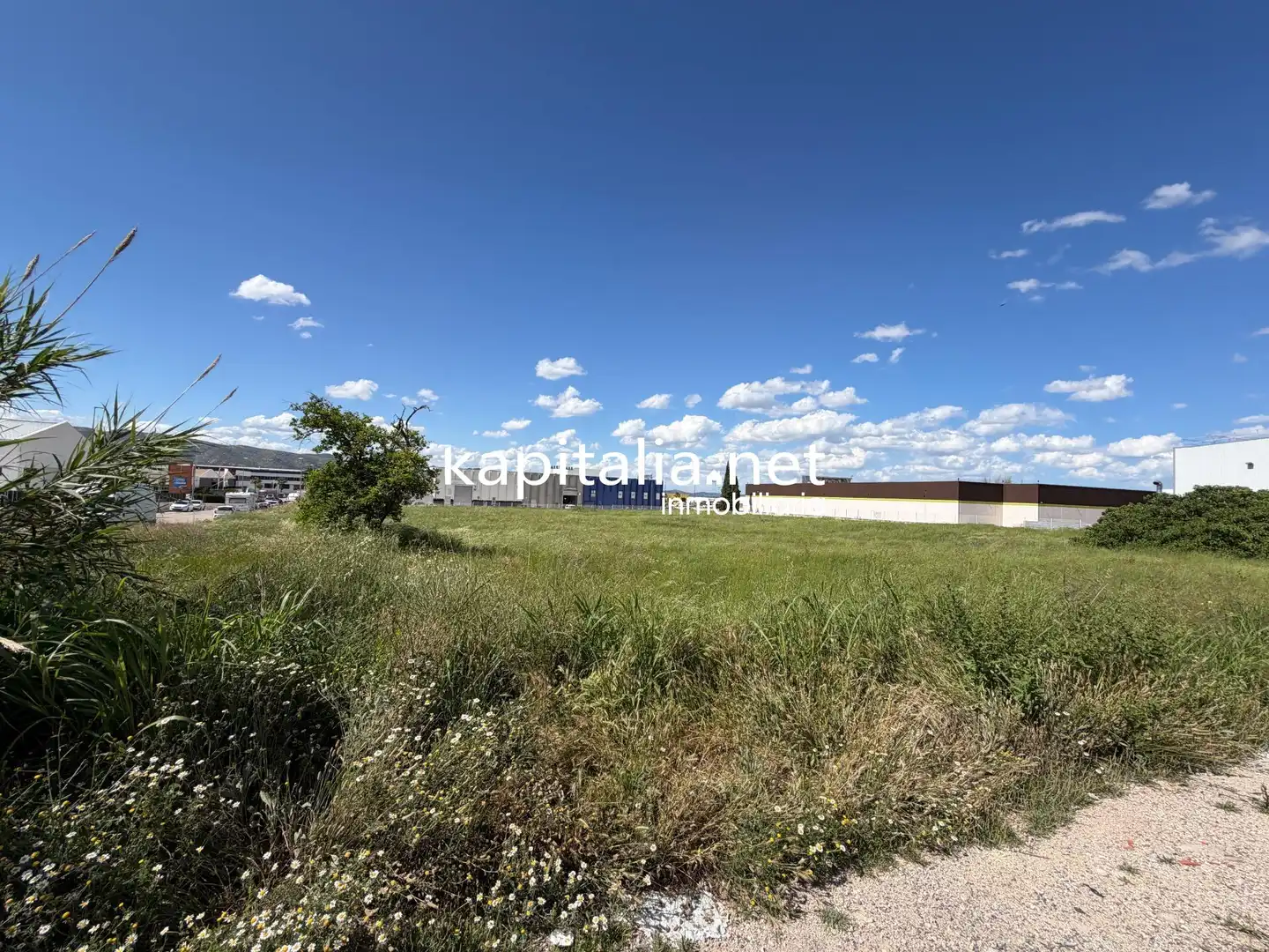 Terreny industrial en venda en Ontinyent