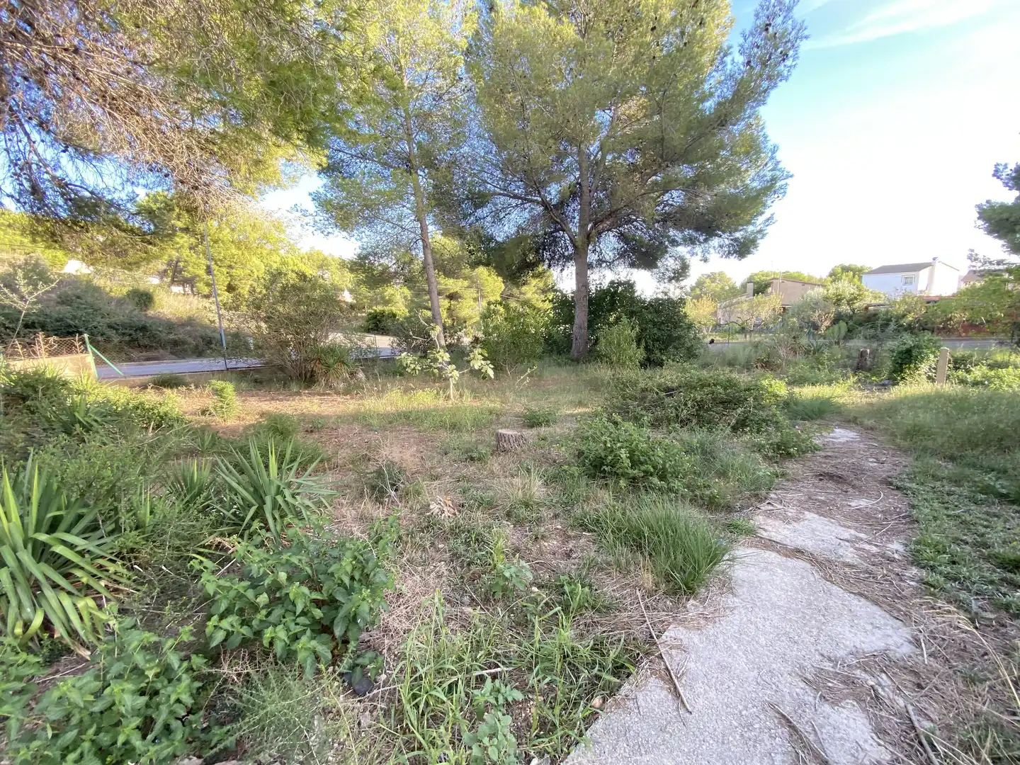 Wohnbaugrundstück zum Verkauf in Mas Borràs - Coto del Rey, imagen 10