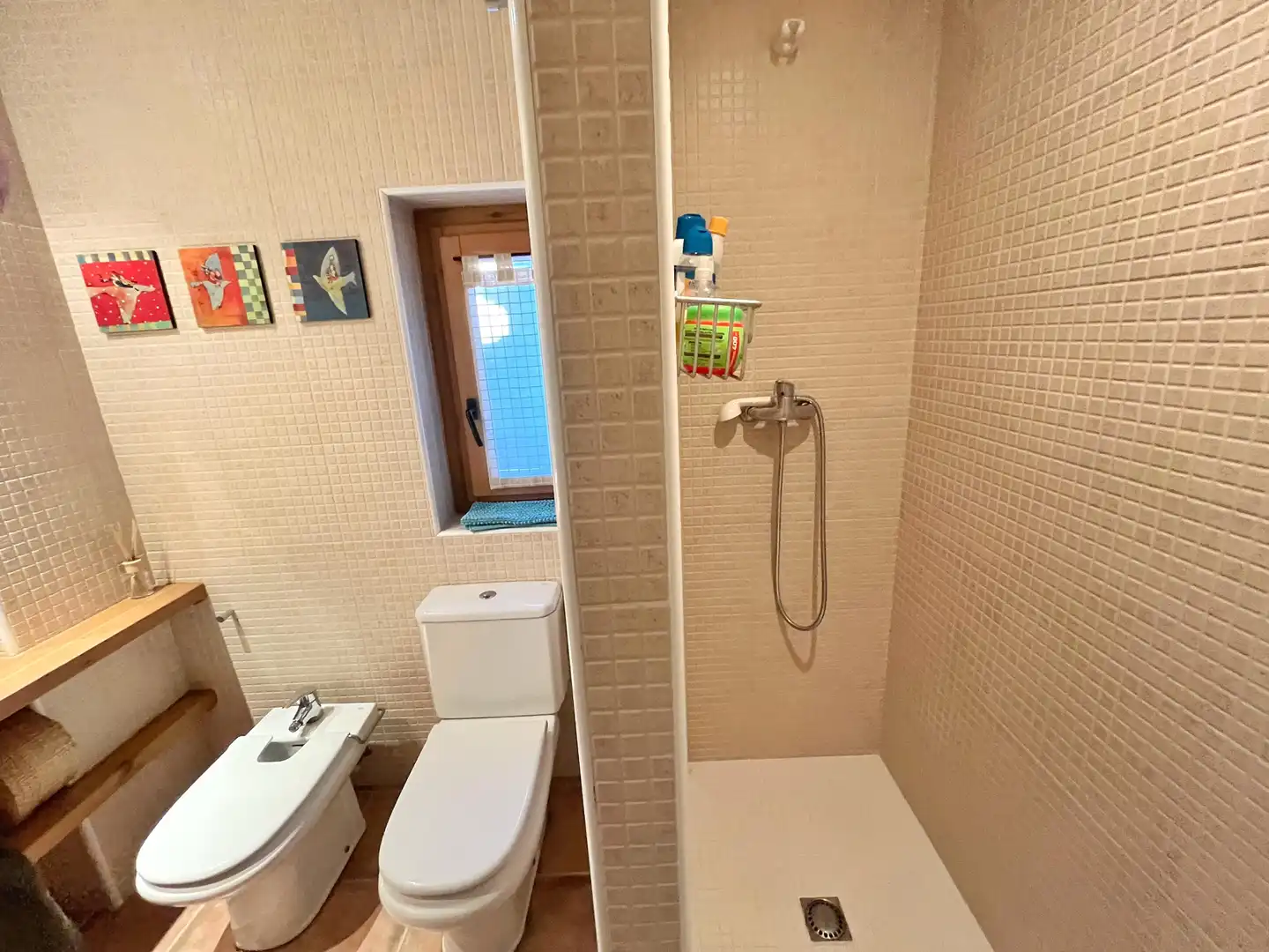 Baño de Casa o chalet en venta en Alp poble