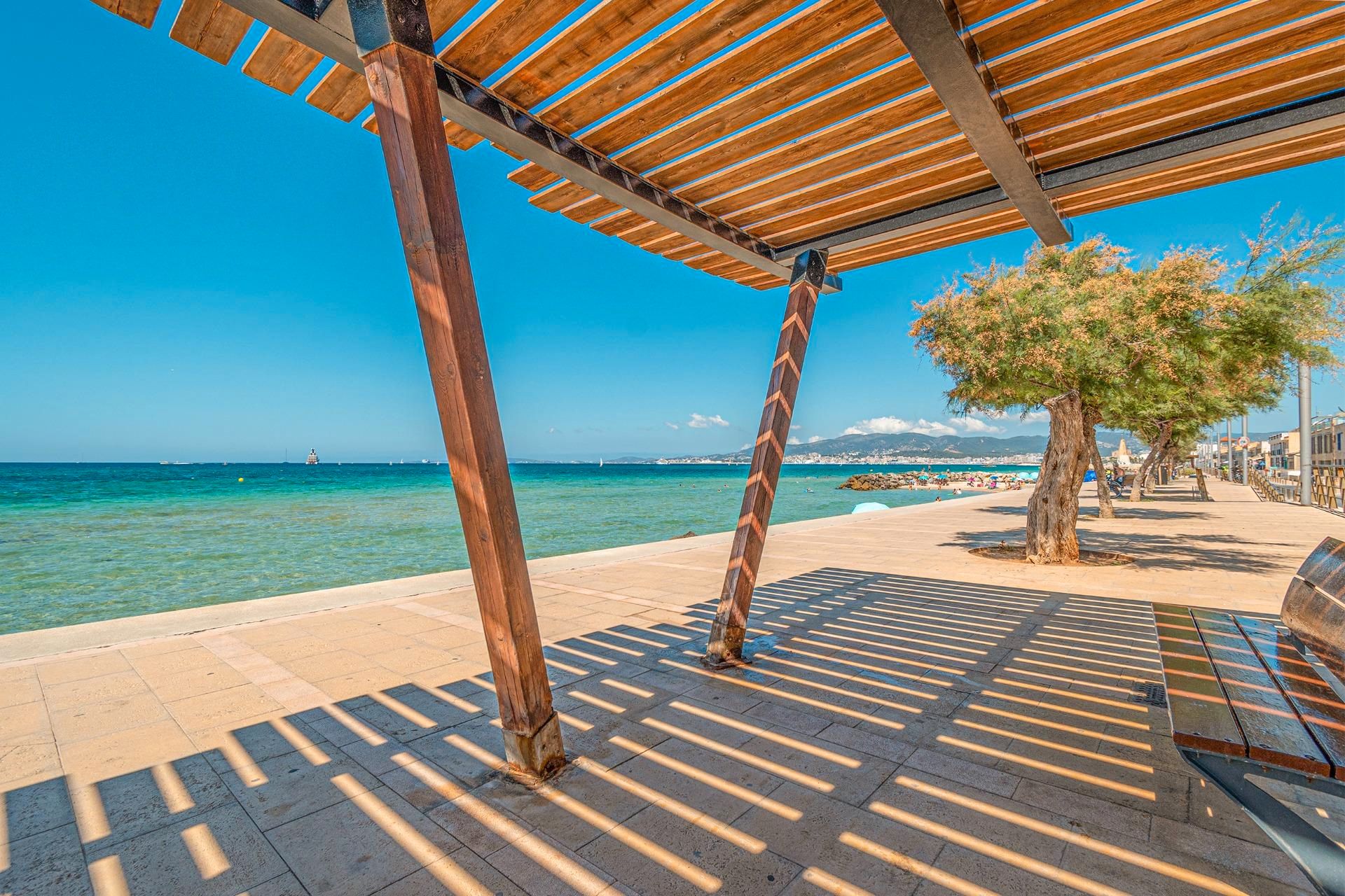 Vista exterior de Planta baixa en venda en  Palma de Mallorca amb Aire condicionat, Terrassa i Moblat