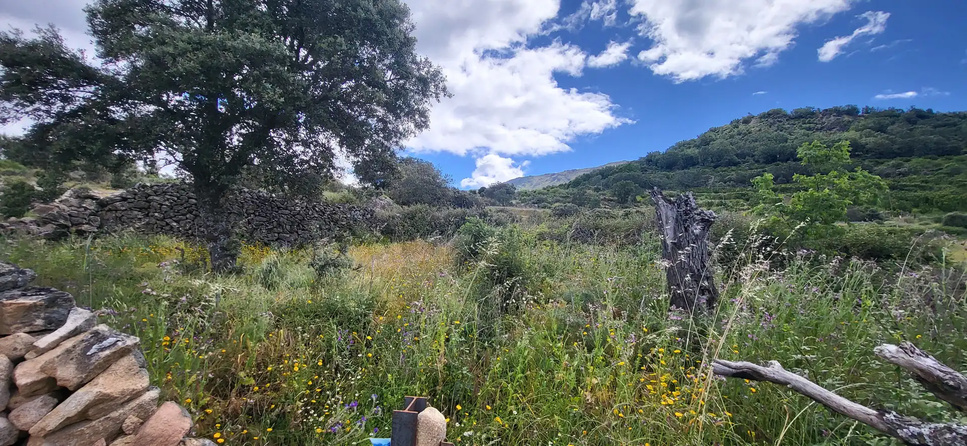 Grundstücke zum Verkauf in Villar de Plasencia