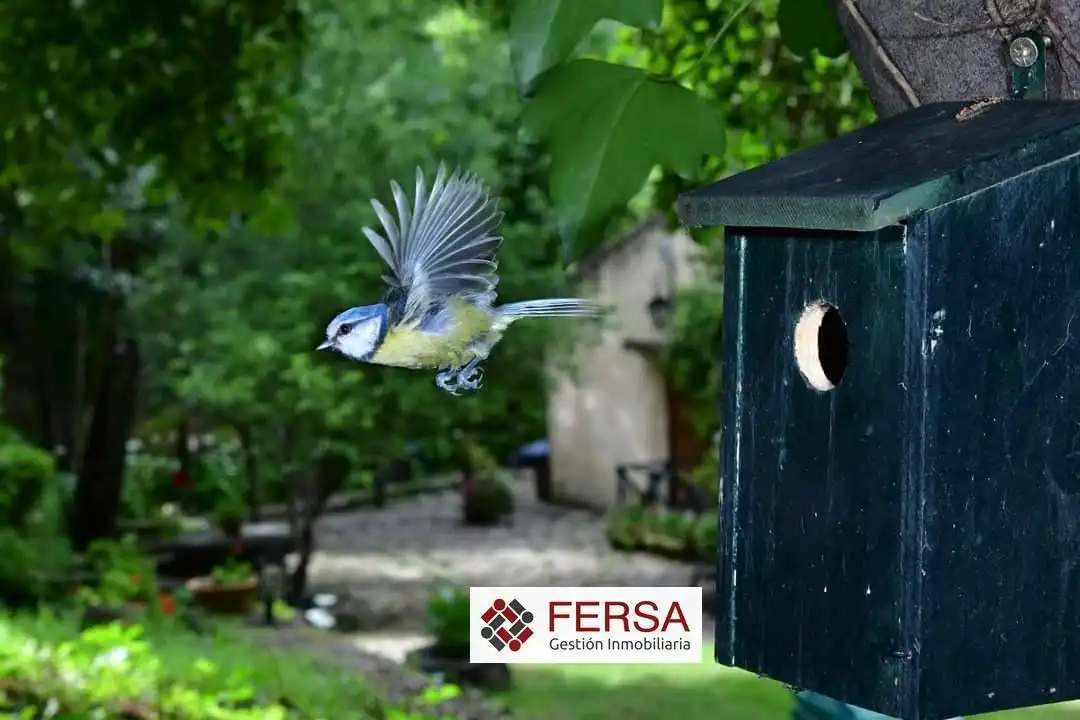Chalet con piscina en venta en Grazalema, imagen 40
