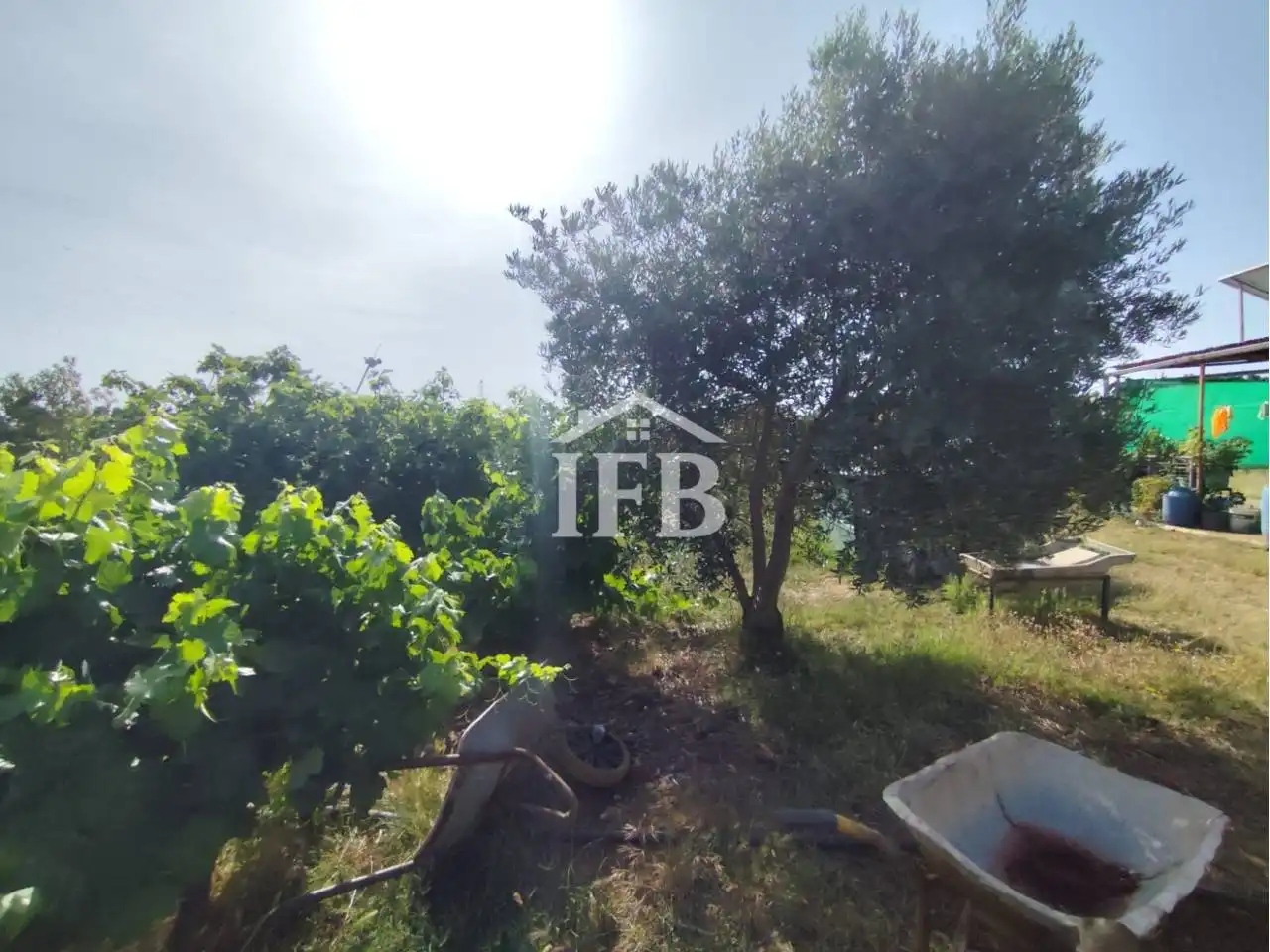 Terreni e lotti in vendita a Carretera de Sevilla - Los Montitos, imagen 5