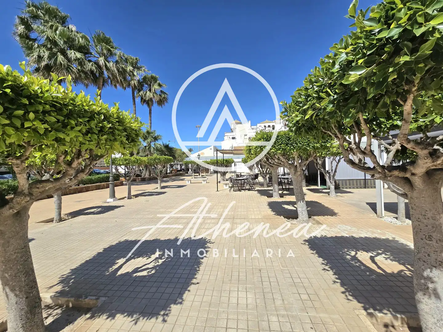 Local comercial en venda a Avenida de Playa Serena, imagen 22