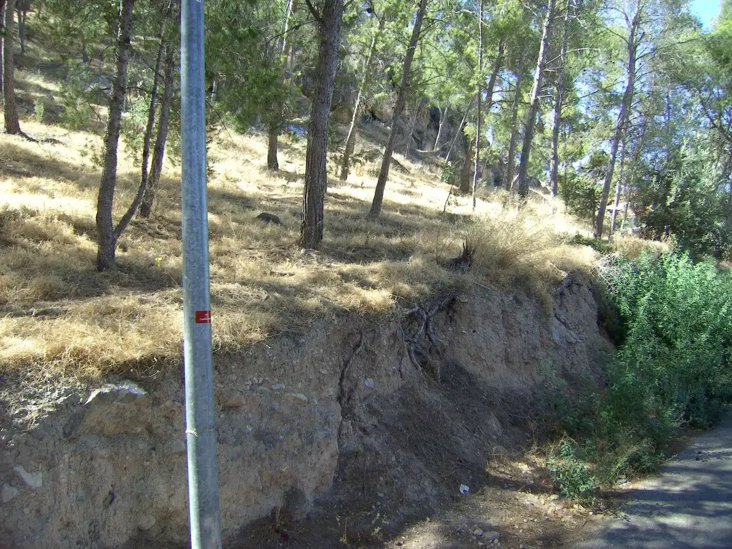 Vista exterior de Terreno en venta en Pedanías Este