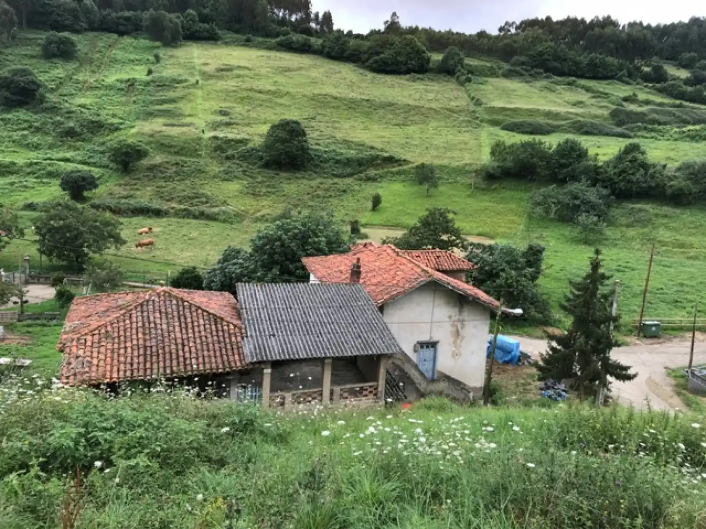 Vista exterior de Casa o xalet en venda en Pravia