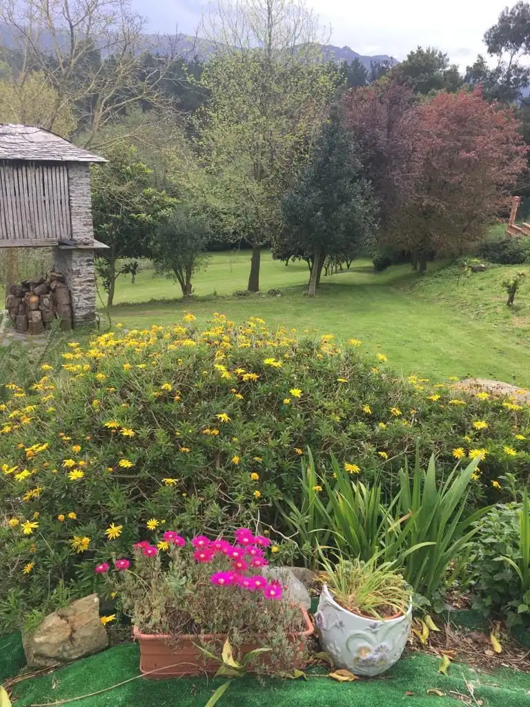 Garden of Houses for sale in Navia  with Private garden and Storage room