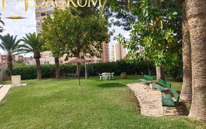 Jardí de Pis en venda en Alicante / Alacant amb Aire condicionat, Piscina i Piscina comunitària