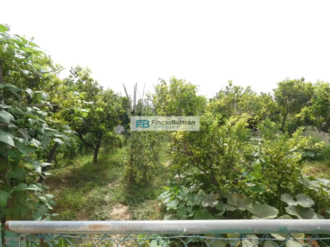 Casa o xalet en venda en Benicarló amb Aire condicionat, Calefacció i Jardí privat