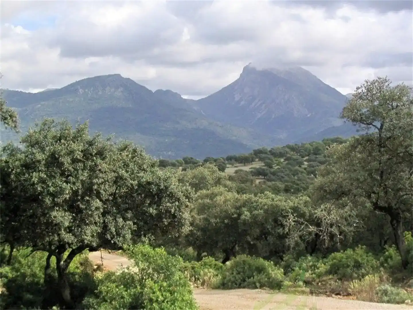 Casa o xalet en venda en Prado del Rey