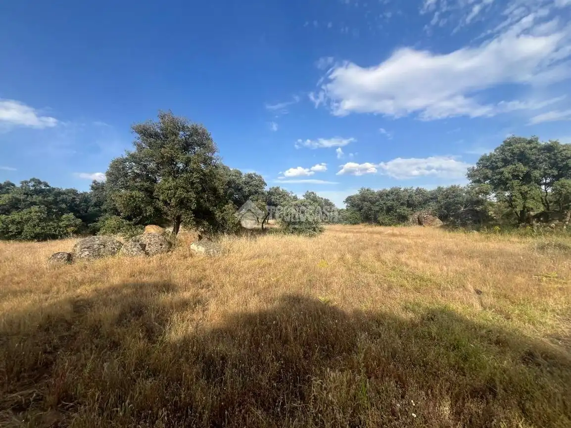 Terreno en venta en Santa Ana de Pusa