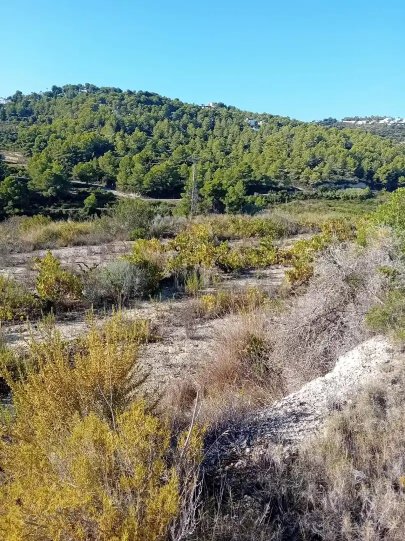 Terreno residencial en venta en Teulada, imagen 5