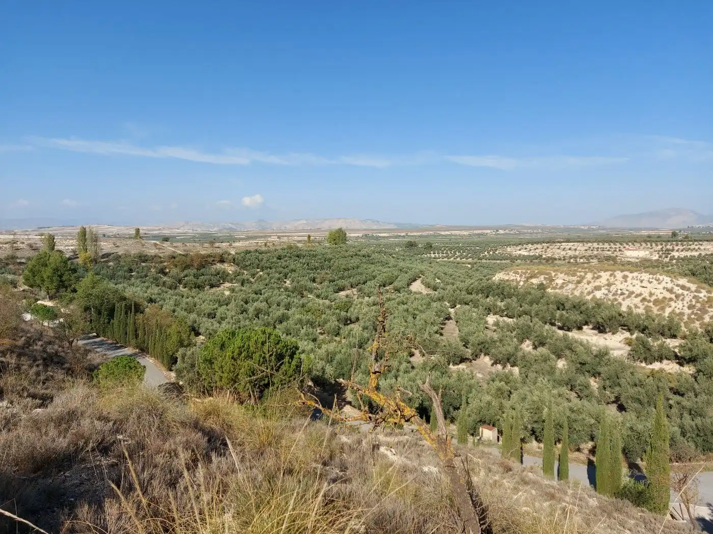 Maison à vendre à Cuevas del Campo, imagen 19