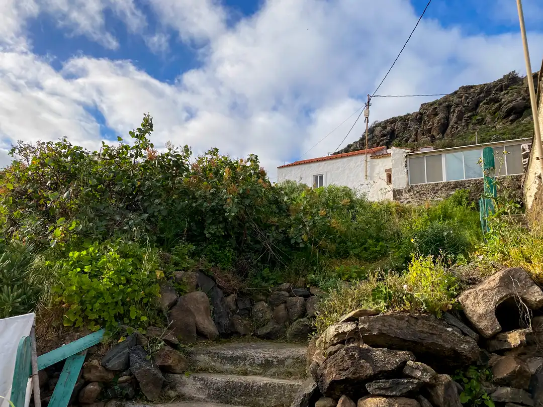 Vista exterior de Finca rústica en venta en Moya (Las Palmas)