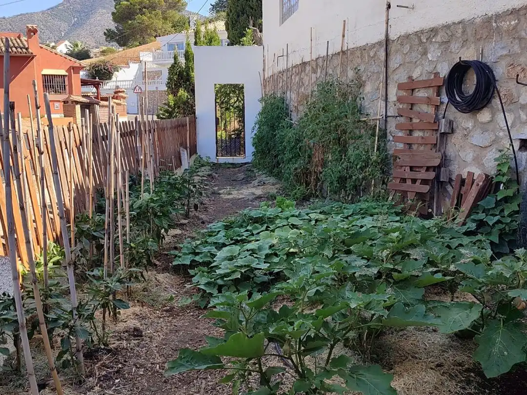 Xalet amb jardí en venda a Calle Nogal 17, imagen 8