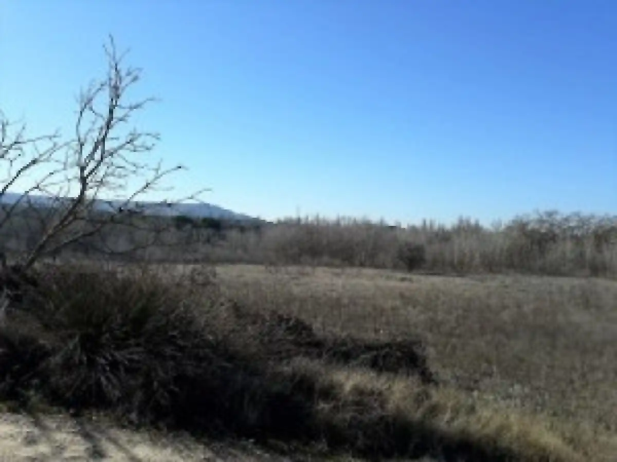 Terreno rustico in vendita a Tudela de Duero