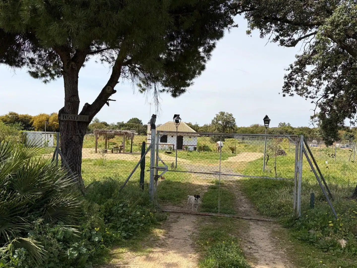 Haus mit Garten zum Verkauf in Hinojos, imagen 8