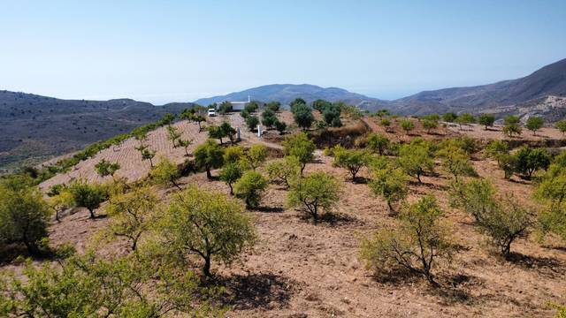 Finca rústica en Venta en Lugar Cortijo Rocilla en Turón