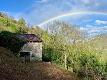 Terreno rustico in vendita a Camino La Molina s/n