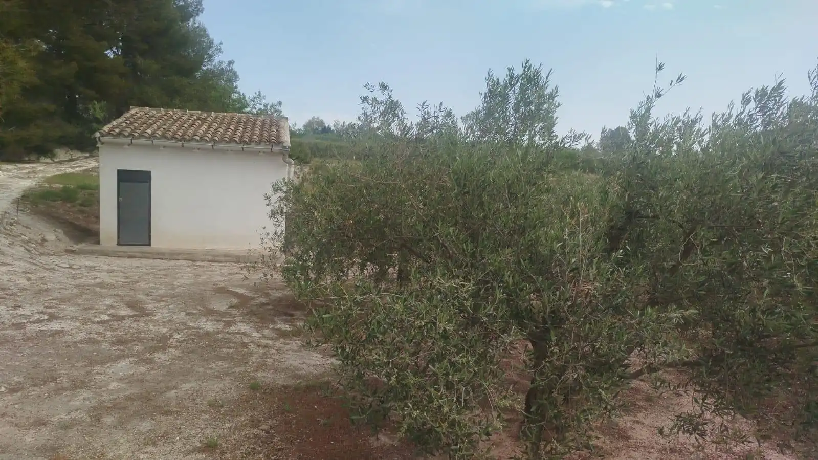 Terreno residencial en venta en L'Olleria, imagen 3