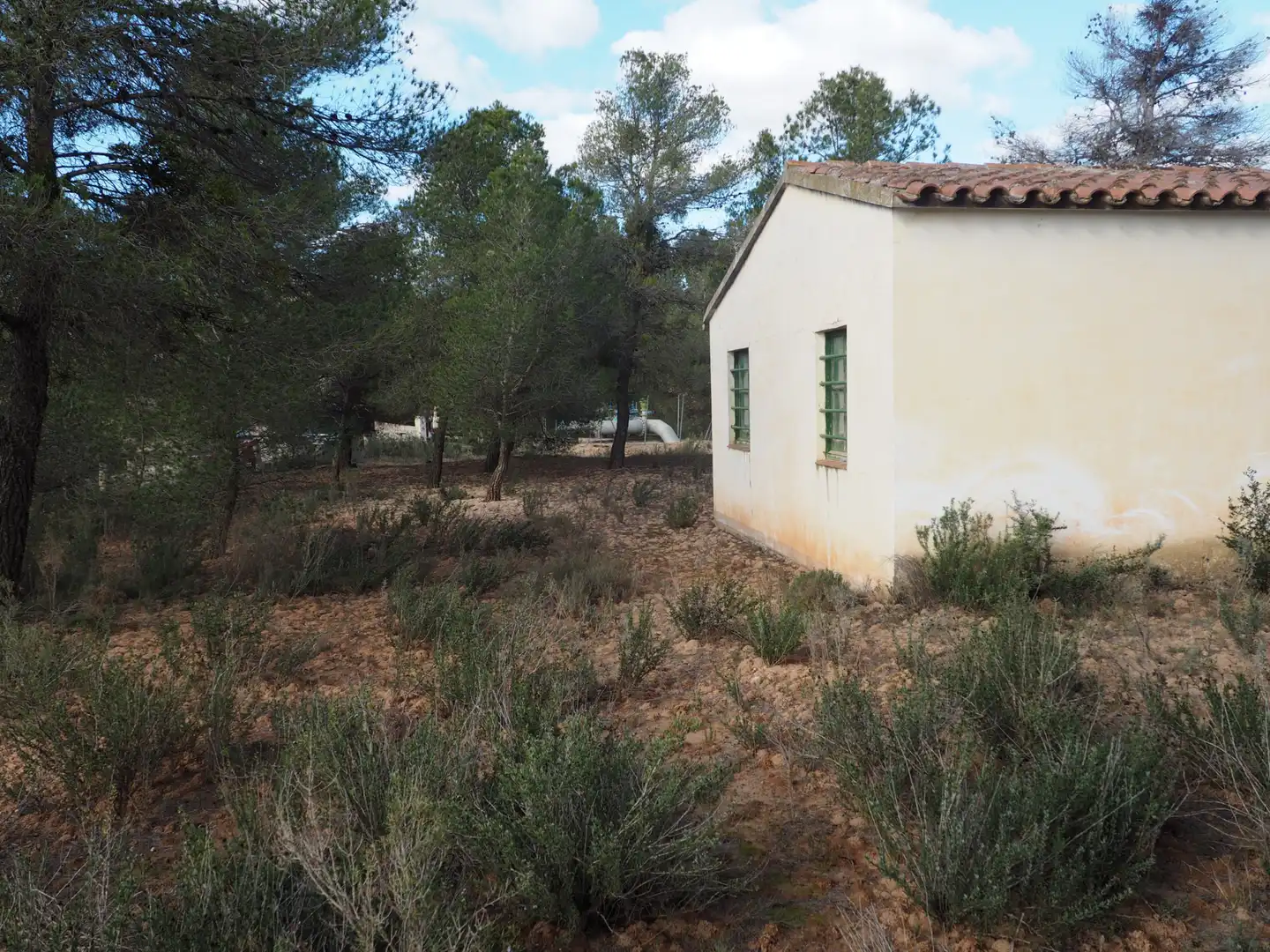 Terrain rustique à vendre à Avinguda Colònia 5, imagen 2