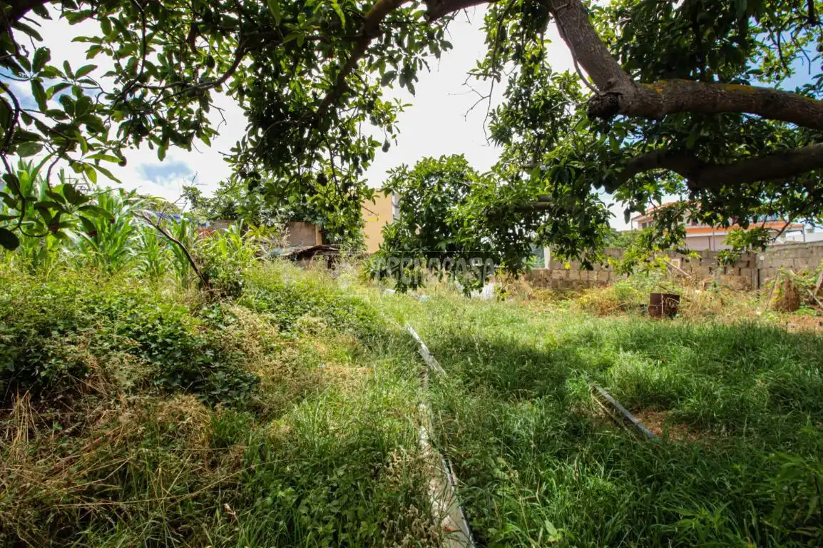 Terreno residencial en venta en El Sauzal, imagen 4