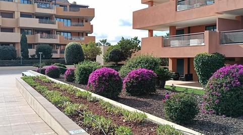 Photo 3 of Flat to rent in Puerto de Sotogrande - La Marina, Cádiz