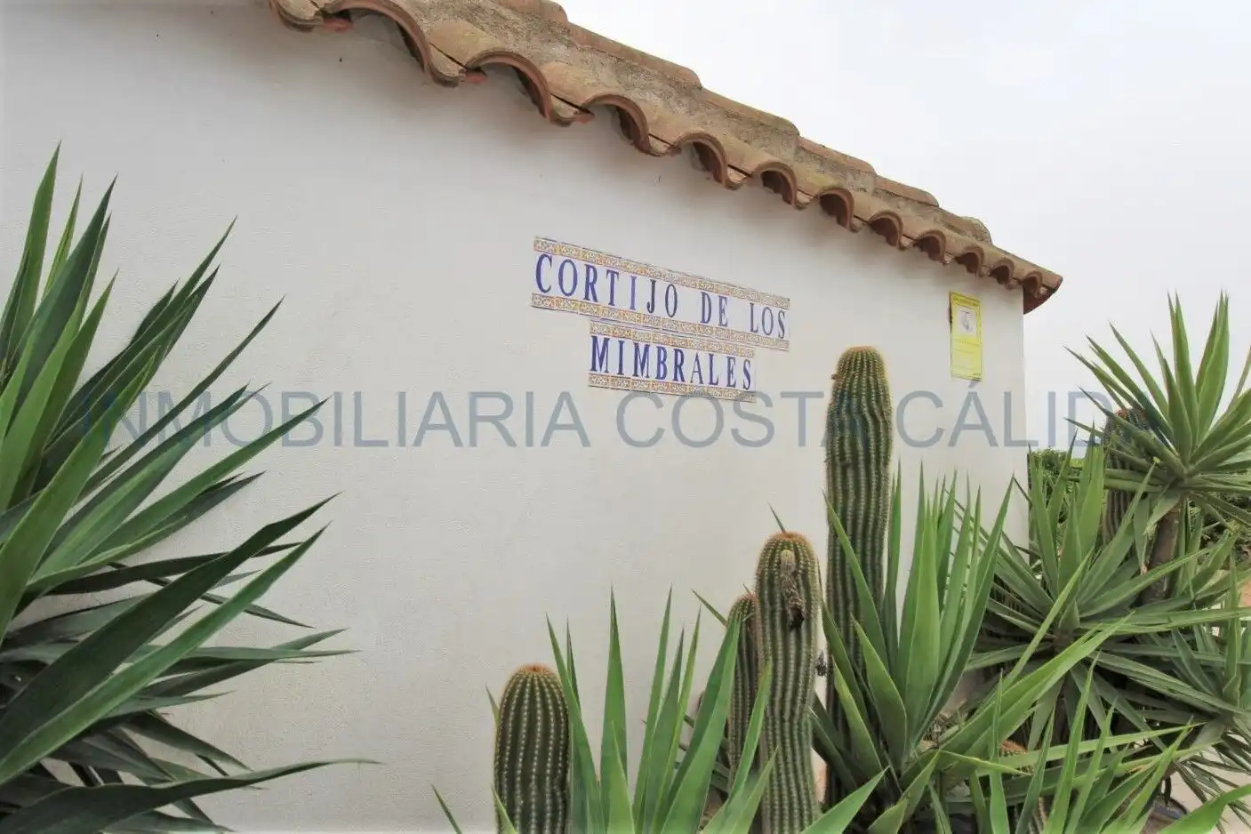 Finca rústica en venda en Puerto Lumbreras amb Calefacció, Jardí privat i Terrassa