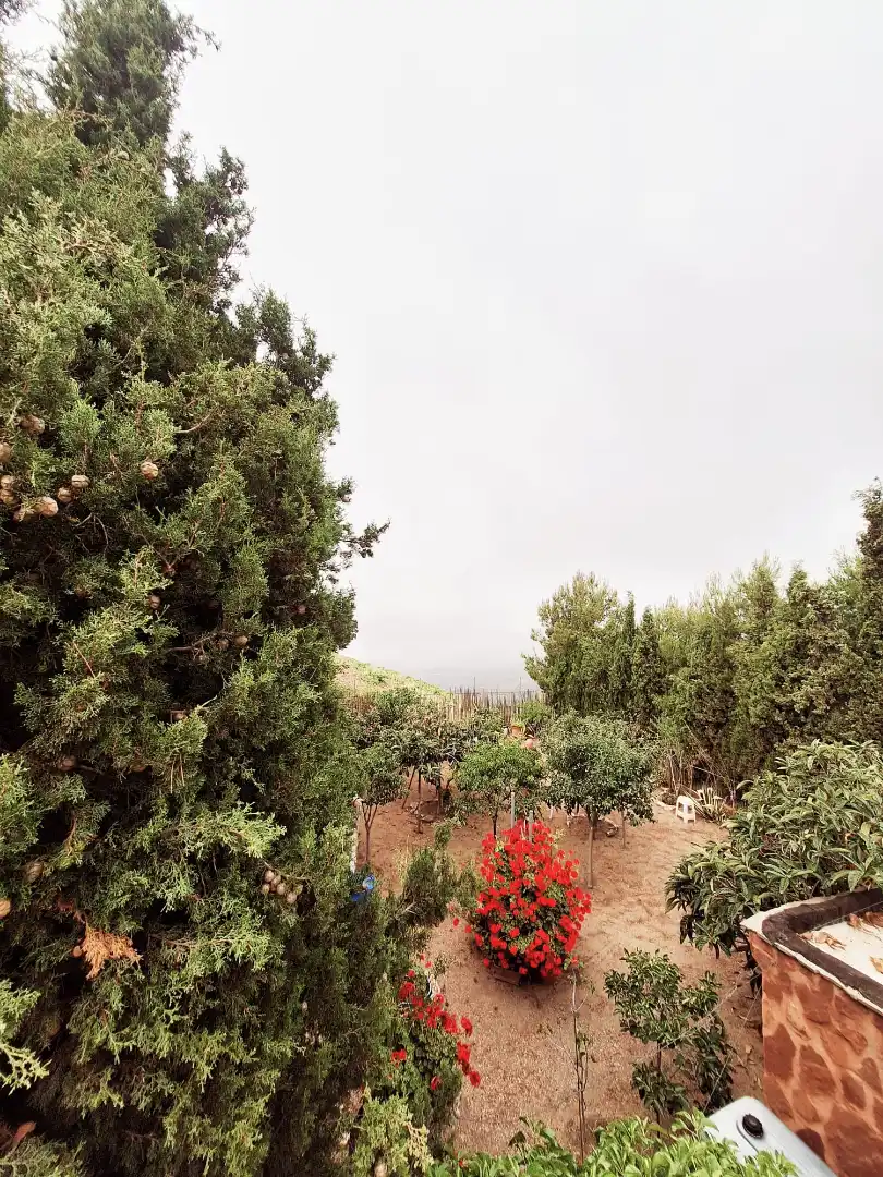 Rural land for sale in Belicena, imagen 13