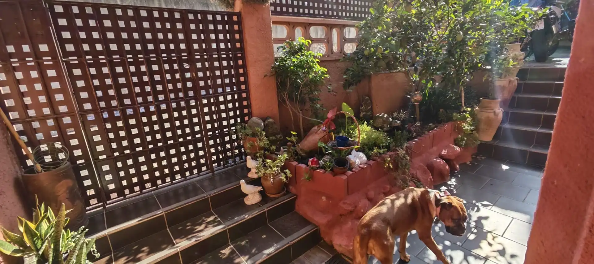 Casa con piscina en venta en Roca Grossa, imagen 9
