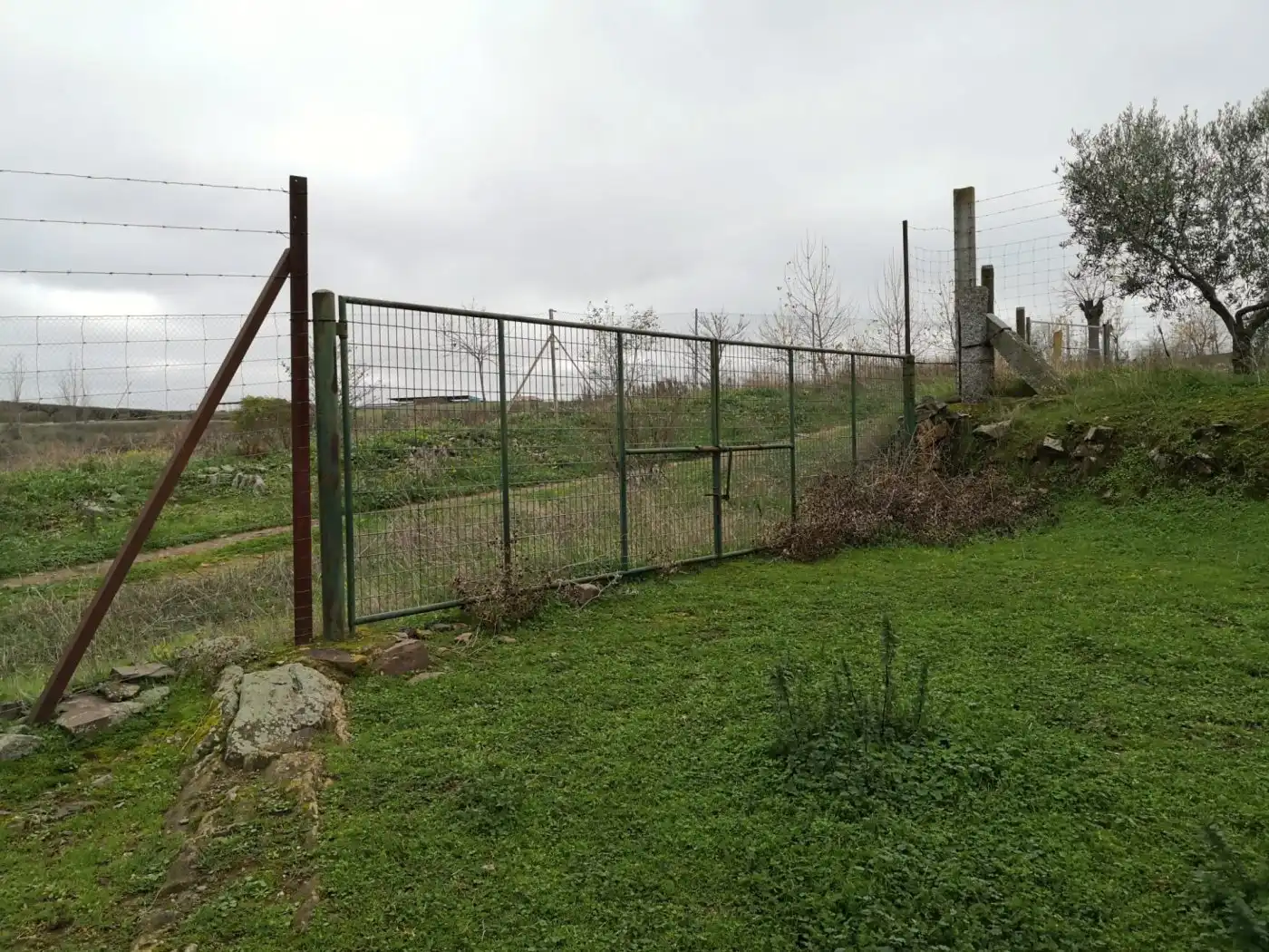 Finca rústica en venta en Belalcázar