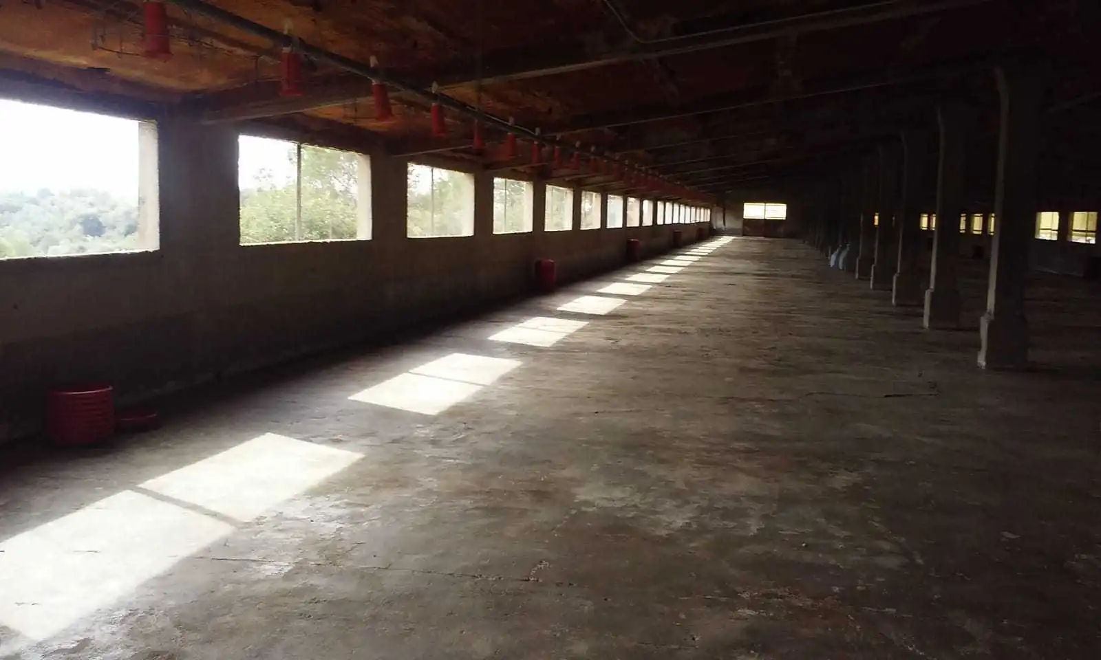 Vista exterior de Nave industrial en venta en Traiguera