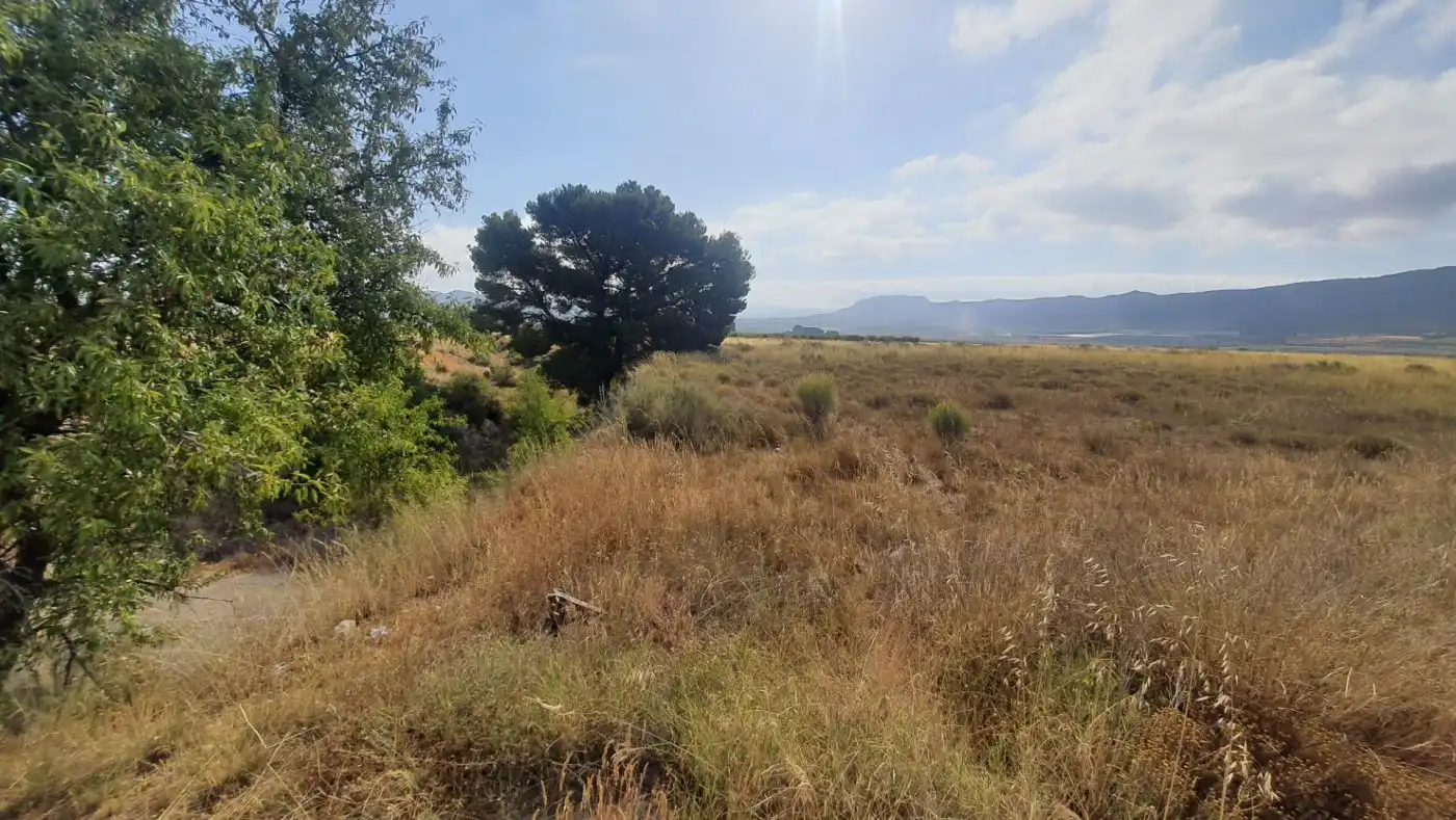 Terreno residenziale in vendita a casa plaza, imagen 10
