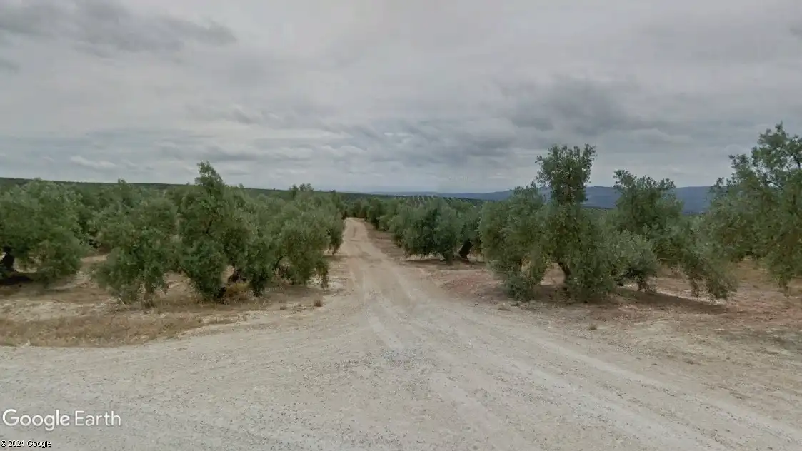 Terreni e lotti in vendita a Navas de San Juan, imagen 5