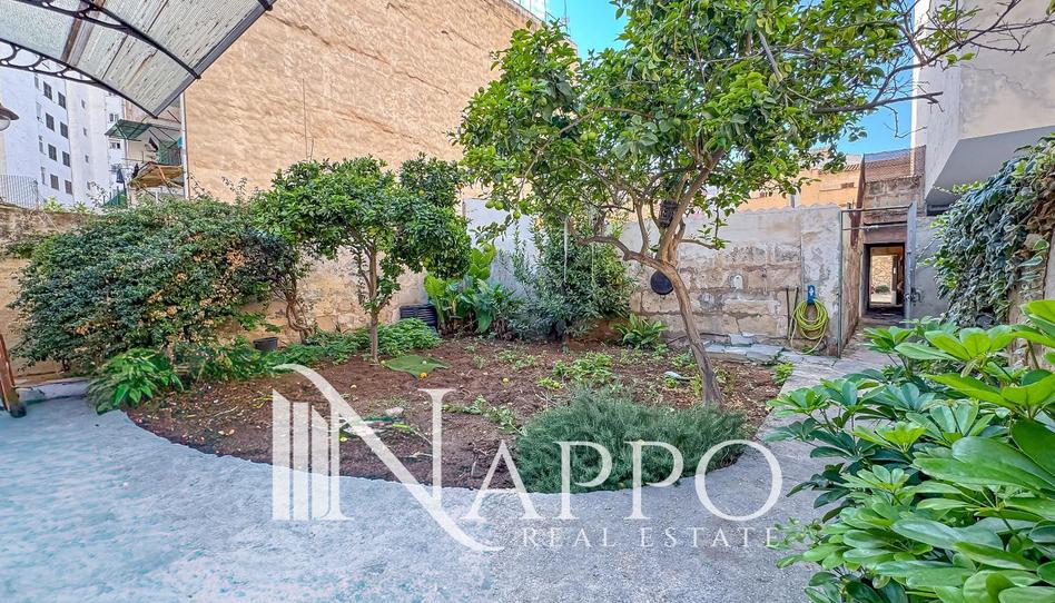 Photo 1 of House or chalet for sale in Henri Dunant, Son Oliva, Illes Balears