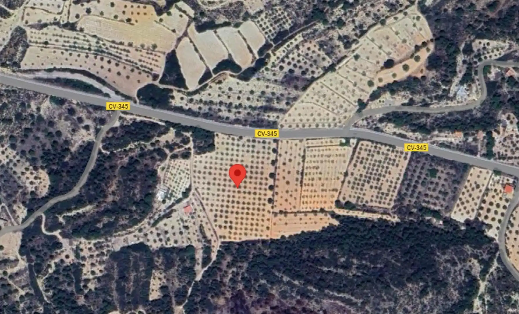 Terreny rústic en venda a Casinos, imagen 5