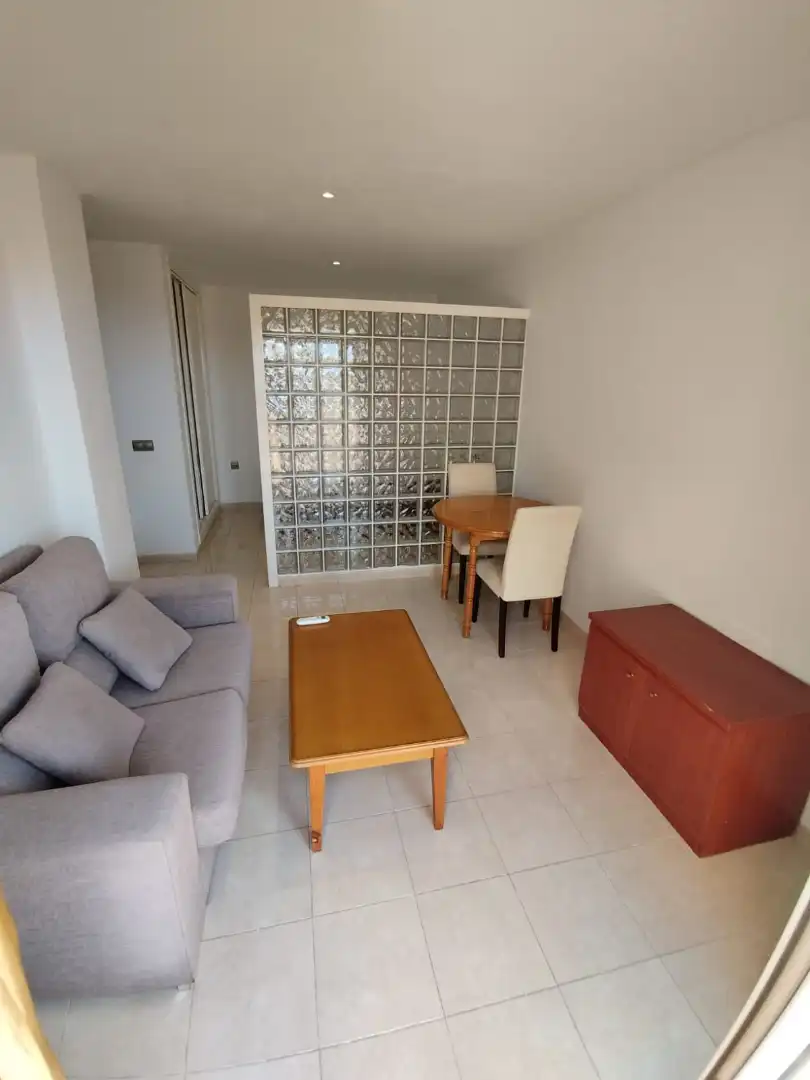 Living room of Flat for rent in Vícar  with Air Conditioner, Terrace and Furnished
