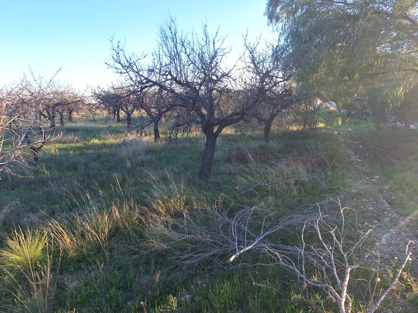 Terreny en venda en San Vicente del Raspeig / Sant Vicent del Raspeig