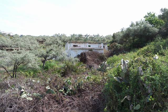 Finca rústica en Venta en Diseminado Pago Barranco Plano, 1050 en Torrox Pueblo