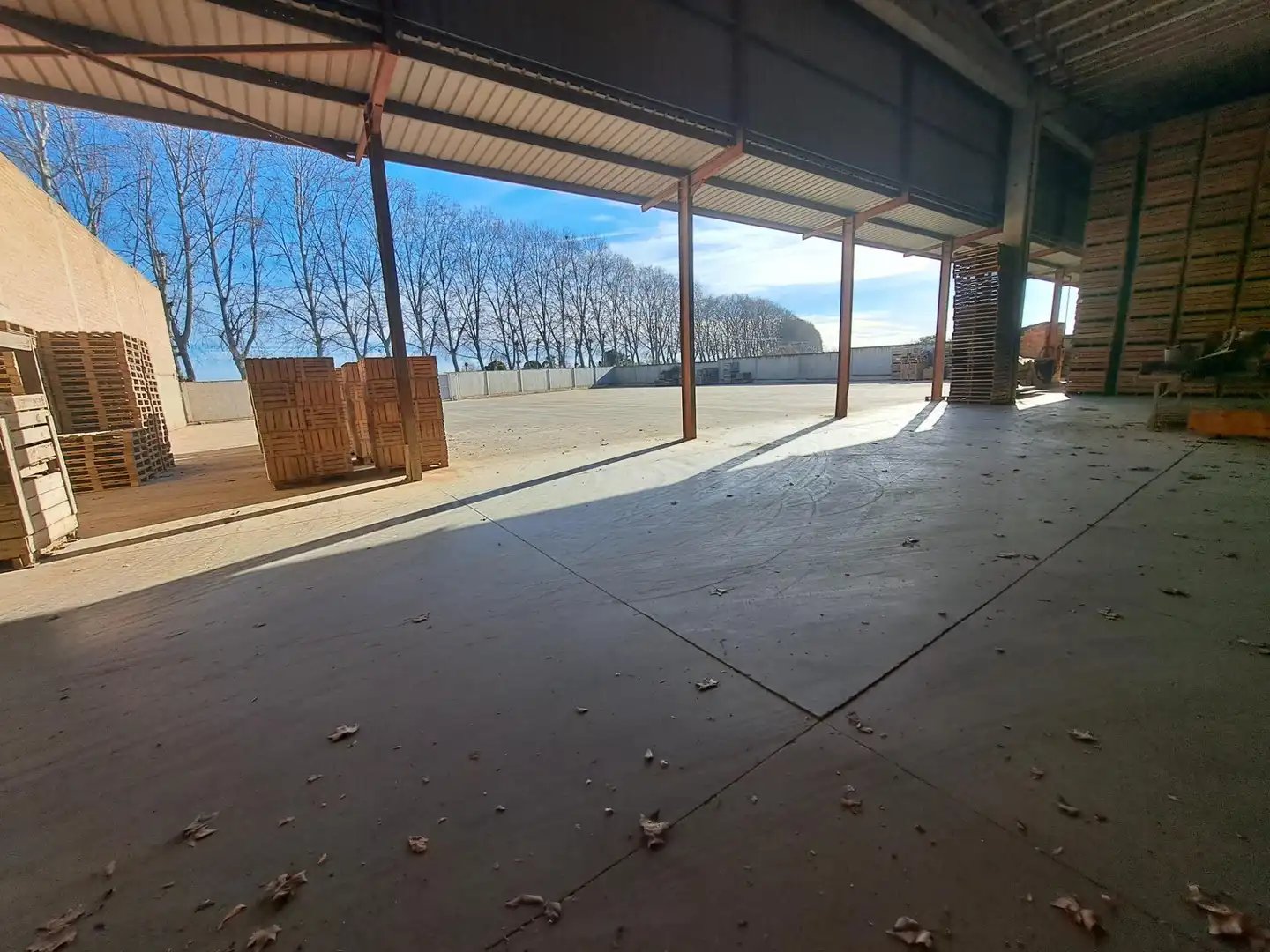 Terrace of Industrial buildings for sale in Mollerussa