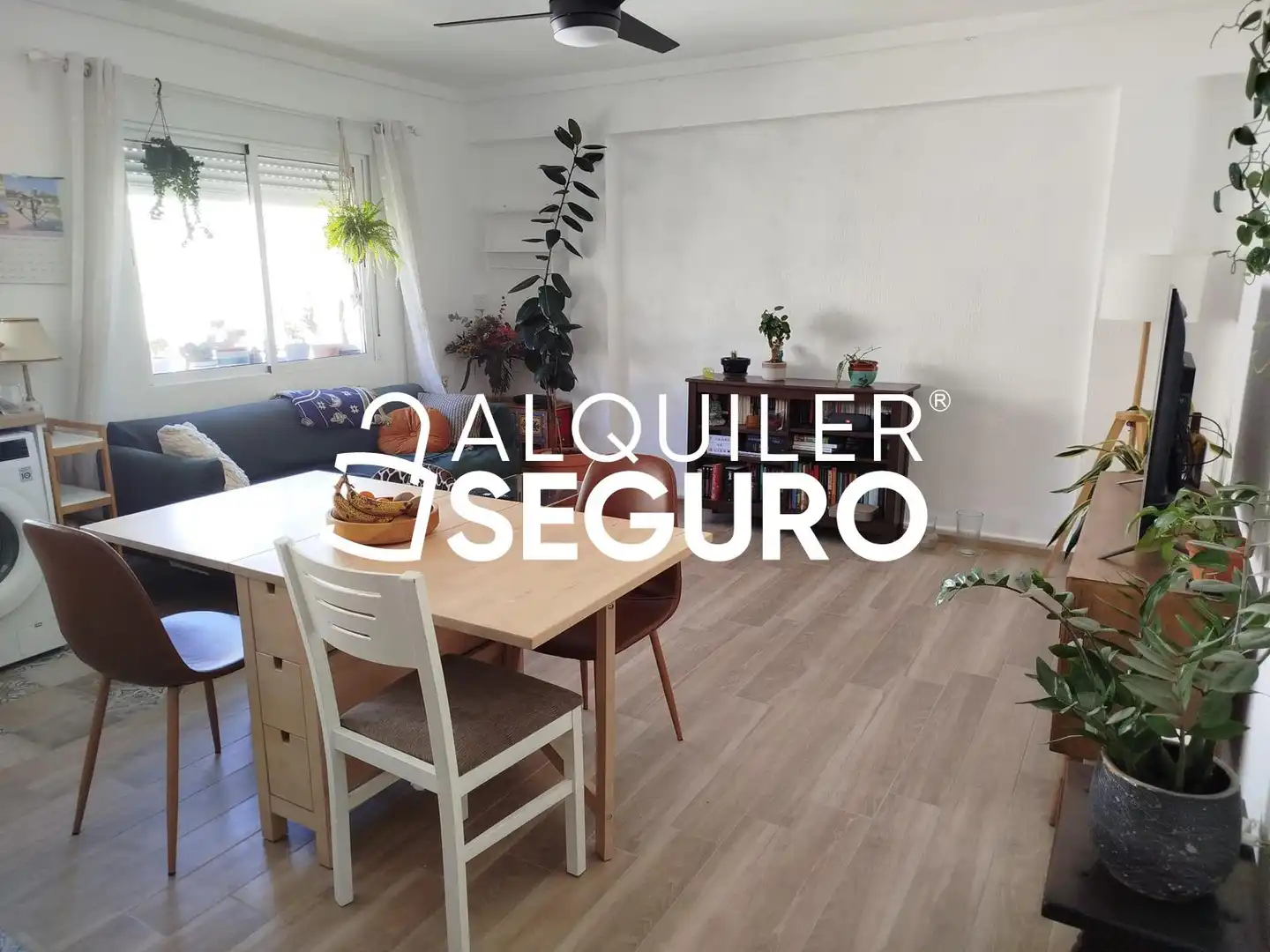 Sala d'estar de Pis de lloguer en Valencia