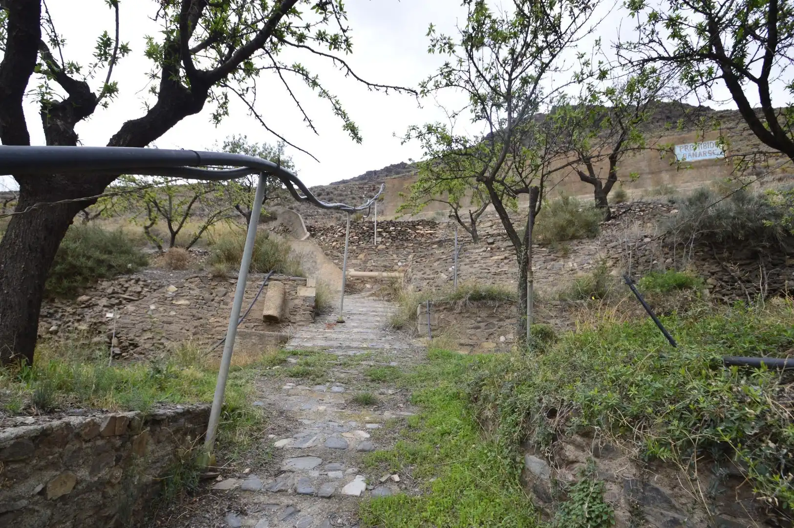 Finca rústica en venta en Gérgal
