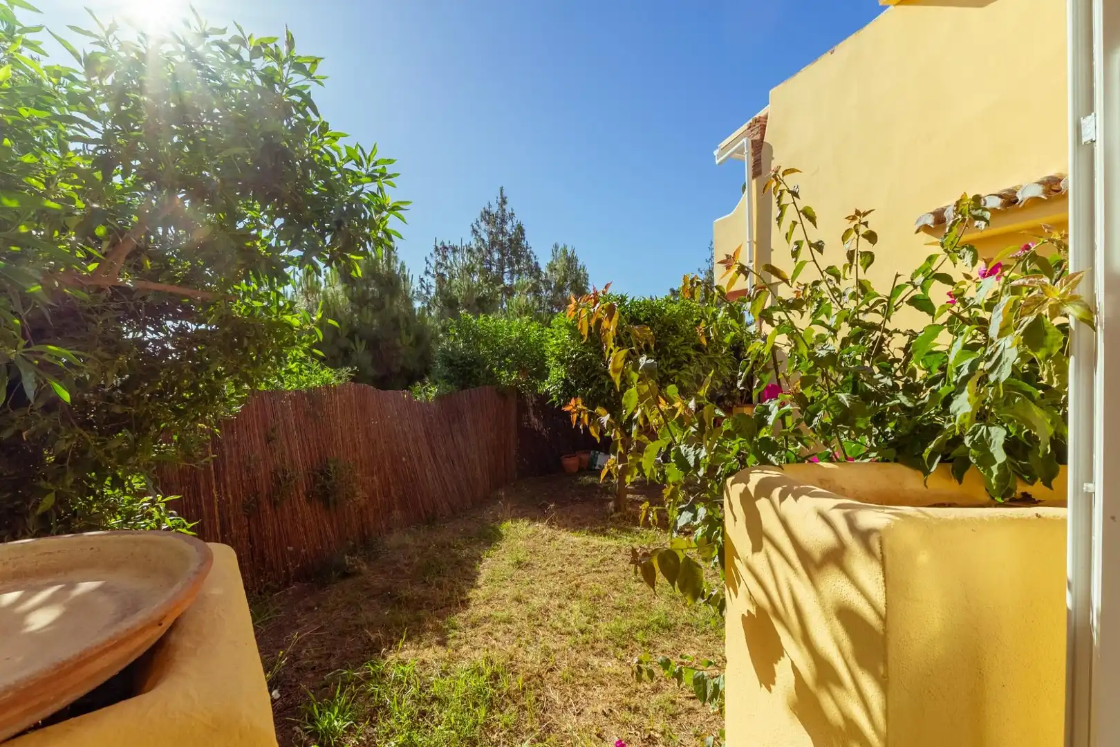 Garden of Detached homes for sale in Mijas