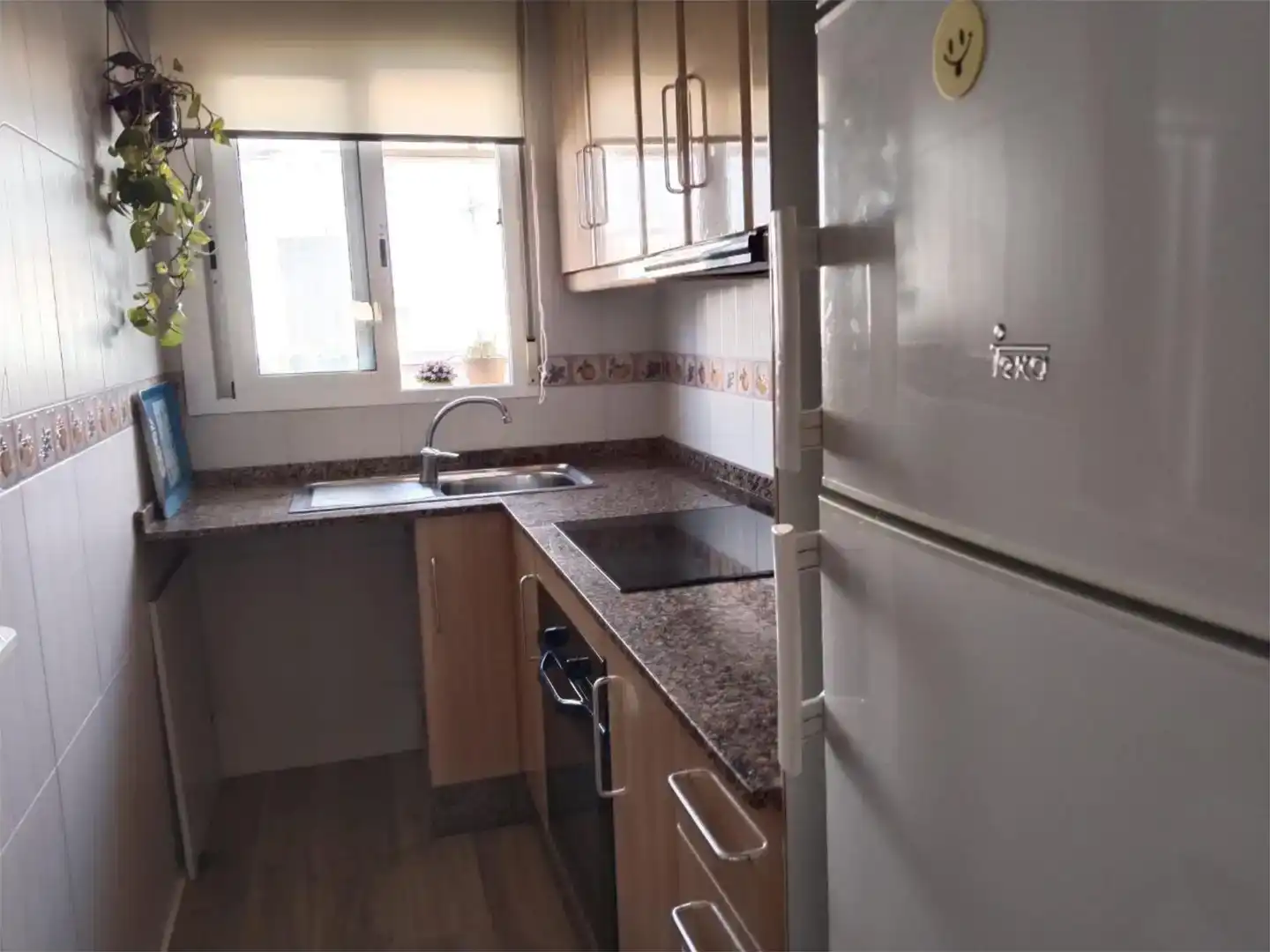 Cuina de Pis de lloguer en Torrevieja amb Aire condicionat
