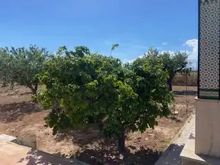 Finca rústica en venta en Fuente Álamo de Murcia con Calefacción, Jardín privado y Trastero