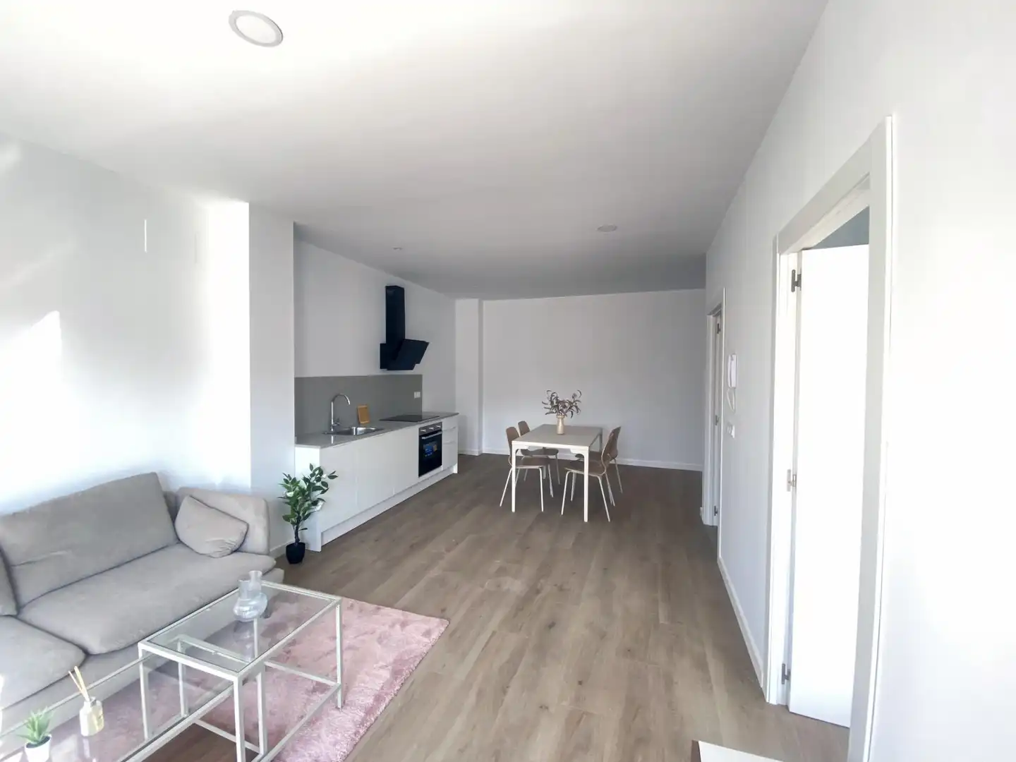 Sala d'estar de Estudi en venda en Alberic amb Calefacció i Moblat
